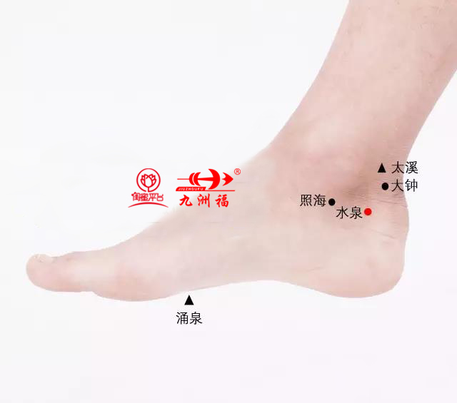 水泉穴